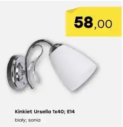 Patio Color Kinkiet E oferta