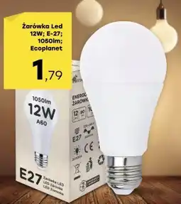 Patio Color Żarówka EcoPlanet oferta