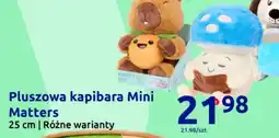 Action Pluszowa kapibara Mini Matters oferta