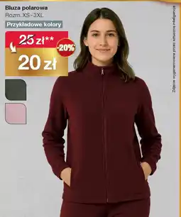 Woolworth Bluza polarowa oferta