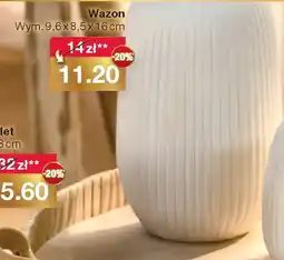 Woolworth Wazon oferta