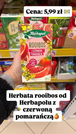 Dino Herbata Rooibos z czerwoną pomarańczą Herbapol oferta
