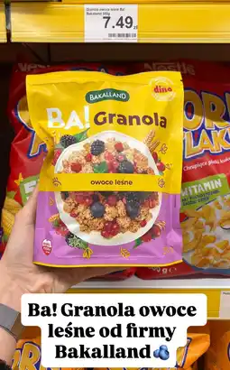 Dino Granola Ba! owoce leśne Bakalland oferta