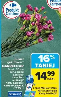 Carrefour Goździki oferta