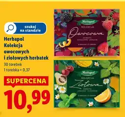 Lidl Herbata Herbapol Kolekcja owocowych i ziołowych herbatek oferta