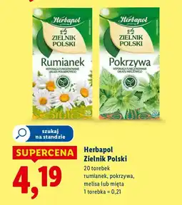 Lidl Herbata Herbapol Zielnik Polski rumianek, pokrzywa, melisa lub mięta oferta