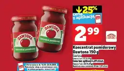Topaz Koncentrat pomidorowy Dawtona oferta
