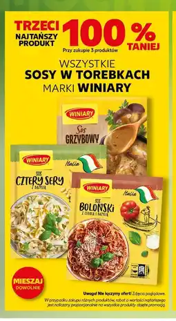 Kaufland Sos boloński z cebulą i bazylią Winiary Italia oferta