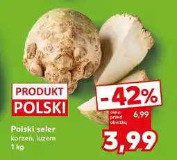 Kaufland Seler korzeń polska oferta