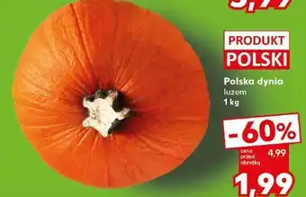 Kaufland Dynia polska oferta