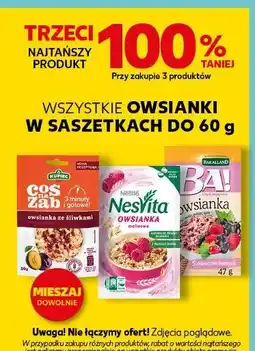 Kaufland Owsianka 5 owoców leśnych Bakalland Ba! oferta