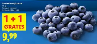 Lidl Borówki amerykańskie Lidl oferta