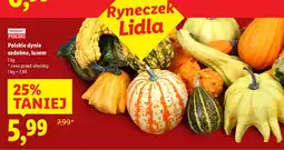 Lidl Dynie ozdobne polskie Ryneczek Lidla oferta