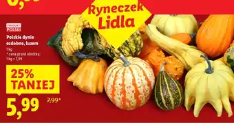 Lidl Dynie ozdobne polskie Ryneczek Lidla oferta