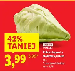 Lidl Kapusta stożkowa Lidl oferta
