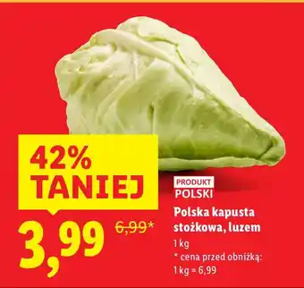 Lidl Kapusta stożkowa Lidl oferta