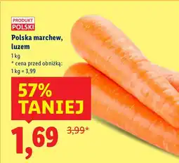 Lidl Marchew Lidl oferta