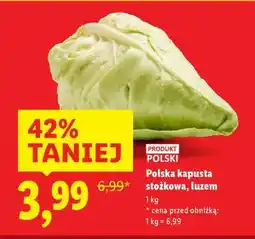 Lidl Polska kapusta stożkowa, luzem oferta