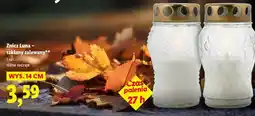 Lidl Znicz Luma – szklany zalewany oferta
