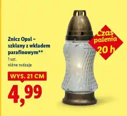 Lidl Znicz Opal oferta