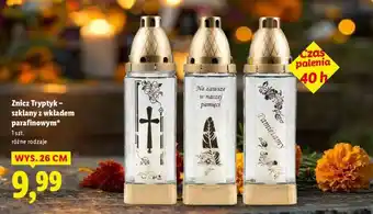 Lidl Znicz Tryptyk oferta