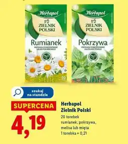 Lidl HERBAPOL Zielnik polski oferta
