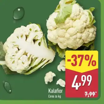 ALDI Kalafior oferta