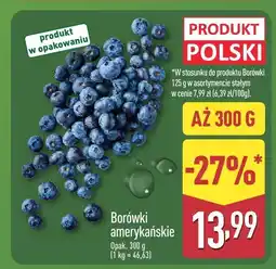 ALDI Borówki amerykańskie Aldi oferta