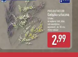 ALDI Projektdecor GaŁzka sztuczna oferta