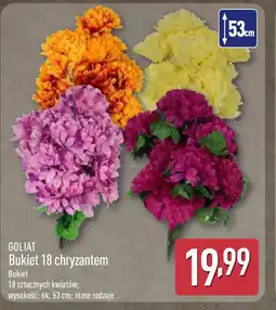 ALDI Goliat Bukiet 18 chryzantem oferta