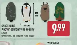 ALDI Kaptur ochronny na rośliny Gardenline oferta