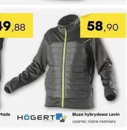 Patio Color Bluza hogert oferta