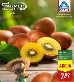 ALDI Kiwi Gold 1 szt. Aldi oferta