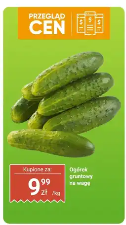 Biedronka Ogórek gruntowy na wagę Biedronka oferta