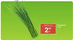 Biedronka Szczypiorek 1 szt. Biedronka oferta