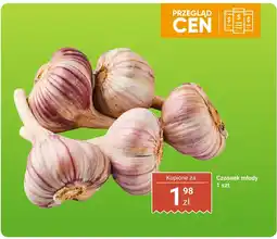 Biedronka Czosnek młody 1 szt. Warzywniak oferta