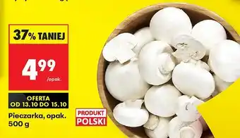 Biedronka Pieczarki 500 g Biedronka oferta