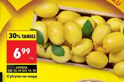 Biedronka Cytryny 1 kg Biedronka oferta