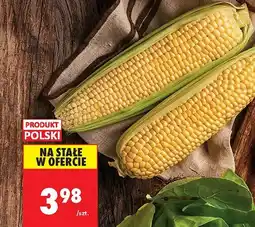 Biedronka Kukurydza - kolba Biedronka oferta