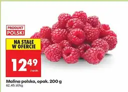 Biedronka Malina polska 200 g Biedronka oferta
