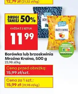 Biedronka Borówka mrożona Mroźna Kraina oferta