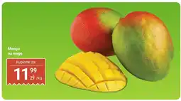 Dino Mango na wagę Dino oferta