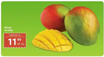 Dino Mango na wagę Dino oferta