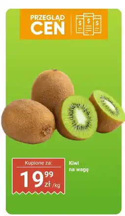 Dino Kiwi na wagę Dino oferta