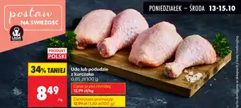 Biedronka Udo lub podudzie z kurczaka oferta