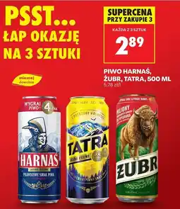 Biedronka Piwo Żubr 1768 oferta