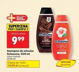 Biedronka Szampon do włosów Schauma Color Shine oferta