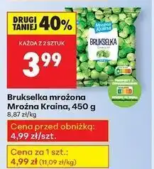 Biedronka Brukselka Mroźna Kraina oferta