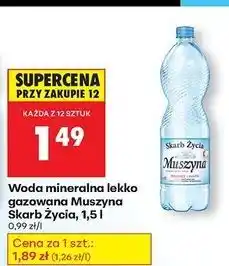 Biedronka Woda lekko gazowana Muszyna Skarb Życia oferta