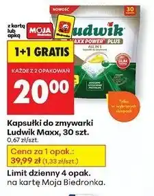 Biedronka Kapsułki do zmywarki Ludwik Maxx Power oferta